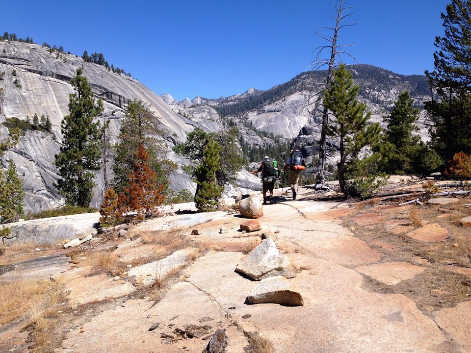 14333720_1273183309359133_2729258154864566995_n