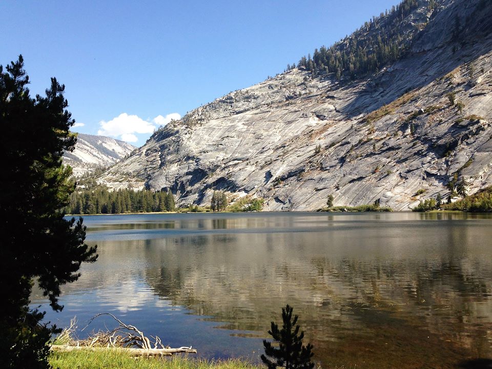 14368881_1273183372692460_1622572461134952841_n