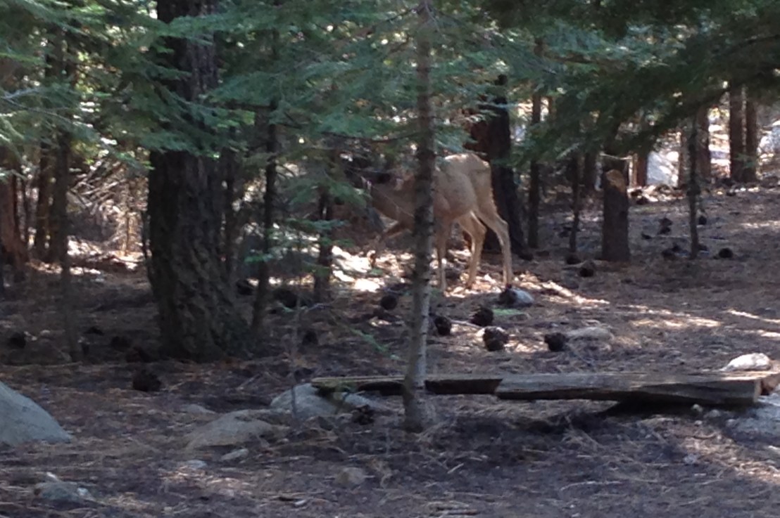 Four Men & a Hike (Evening Day 1 & Day 2) – Sunrise Creek Camp Layover&nbsp;(unplanned).